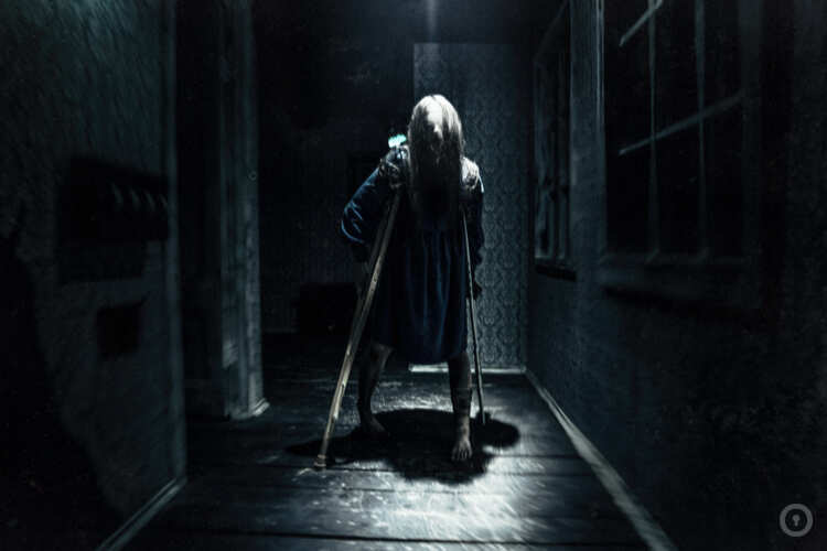 Фотографии Перформанс Приют (фото #5) Фотографии Перформанс Приют (фото #5)