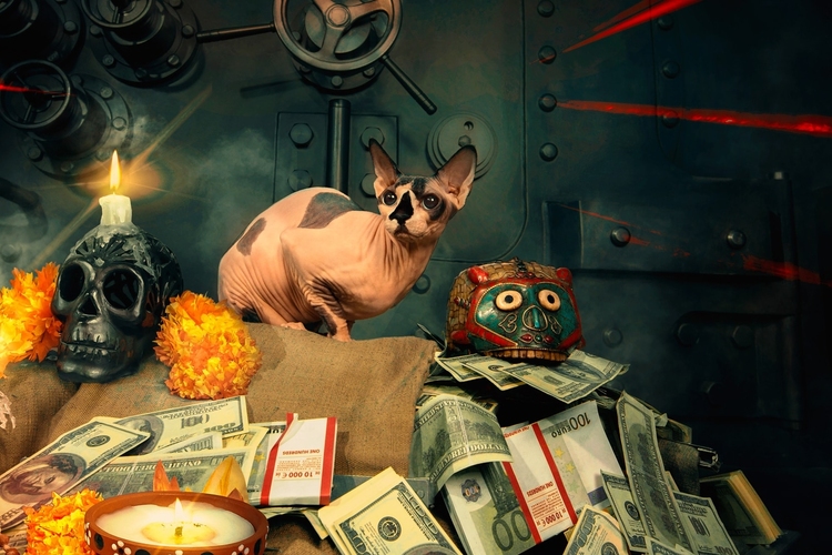 Фотографии квеста Ограбление по-мексикански (фото #3) Фотографии квеста Ограбление по-мексикански (фото #3)