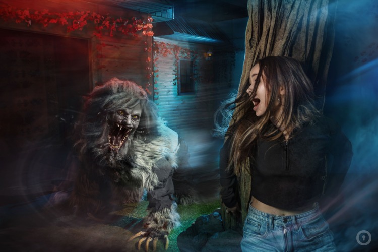 Фотографии Перформанс Resident Evil 8: Village (фото #1) Фотографии Перформанс Resident Evil 8: Village (фото #1)