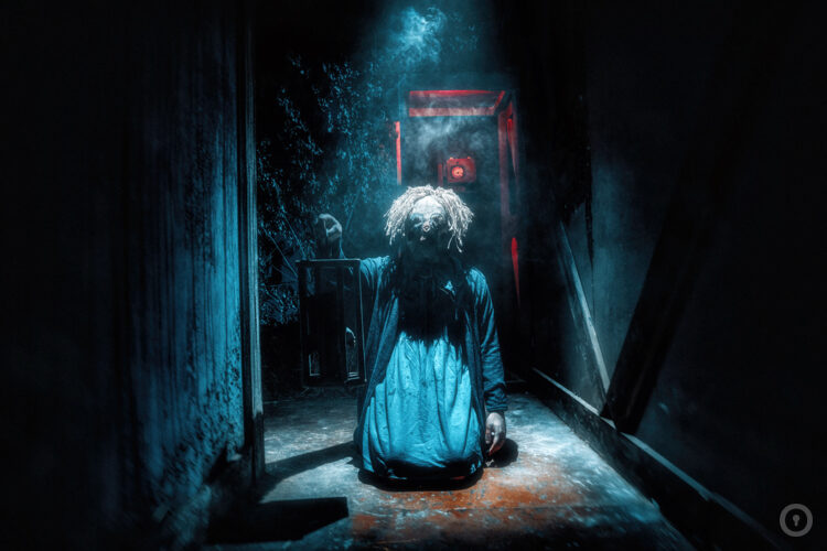 Фотографии Перформанс Приют (фото #3) Фотографии Перформанс Приют (фото #3)