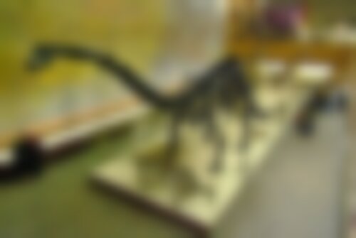 Квест Парк юрского периода Ходилки-Бродилки