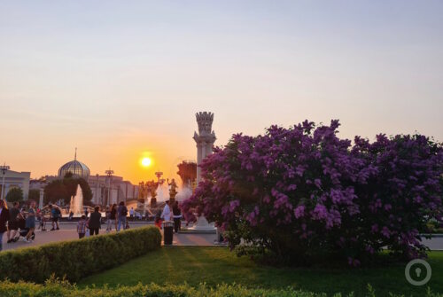 Городской квест ВДНХ: путешествие сквозь эпохи на www.kvestinfo.ru Городской квест ВДНХ: путешествие сквозь эпохи