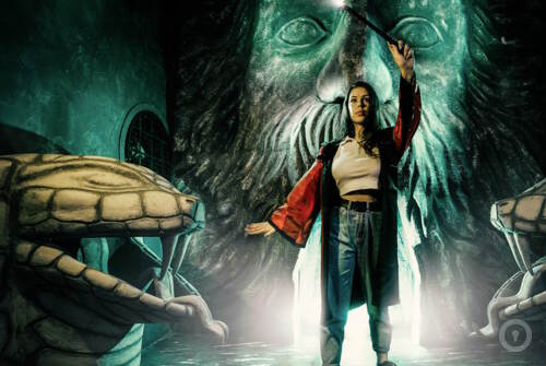 Квест Гарри. Приключения в Хогвартсе