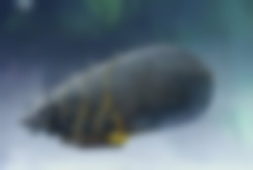 Квест Дирижабль