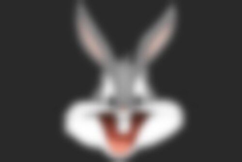 Квест Фанни Банни Квиз