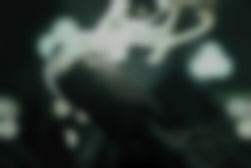 Квест Проклятие лабиринта