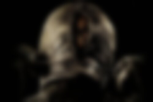 Перформанс Коллекционер