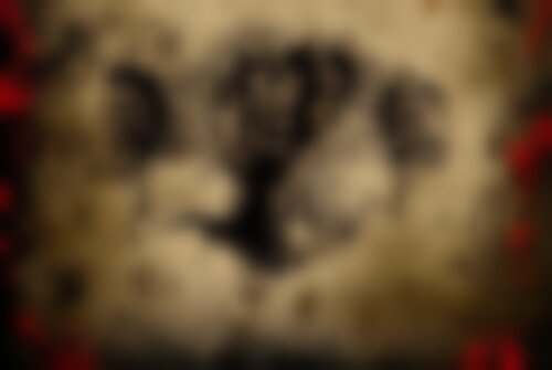 Перформанс KARA