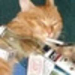 Вера Терпилова