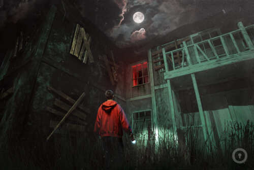 Перформанс Приют