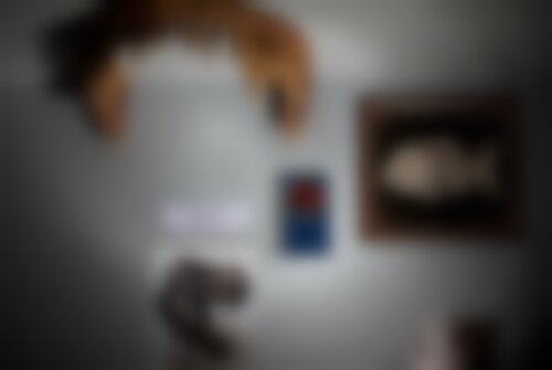 Квест Парк Юрского Периода