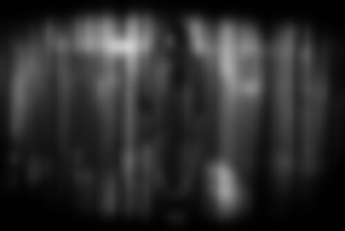 Квест Клетка на www.kvestinfo.ru Квест Клетка