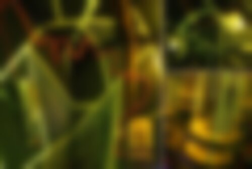 Квест Туртурион на www.kvestinfo.ru Квест Туртурион