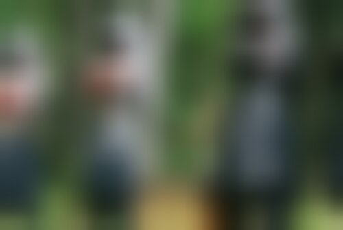 Квест Код успеха