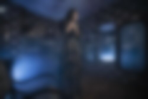 Квест Загадочное исчезновение