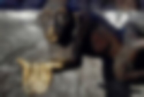 Квест Волшебный колодец на www.kvestinfo.ru Квест Волшебный колодец