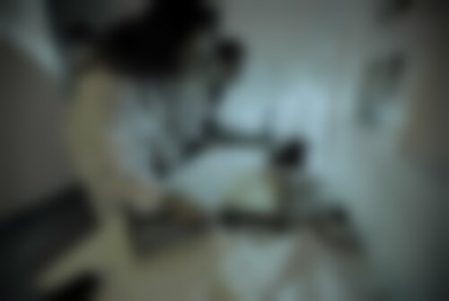 Квест Ботанический бум