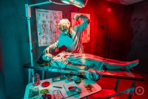 Квест Стоматология "Новая жизнь" на www.kvestinfo.ru Квест Стоматология "Новая жизнь"