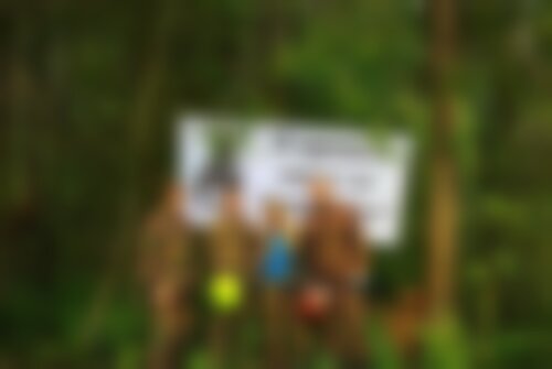 Экшн-игра Таинственный лес на www.kvestinfo.ru Экшн-игра Таинственный лес