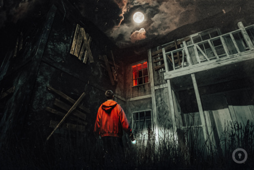 Перформанс Приют на www.kvestinfo.ru Перформанс Приют