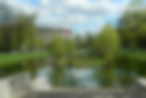 Квест Катин сад на www.kvestinfo.ru Квест Катин сад