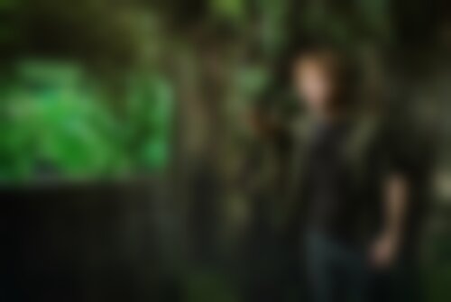 Квест Terra Incognita на www.kvestinfo.ru Квест Terra Incognita