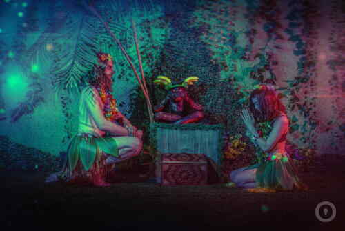 Квест Зов джунглей на www.kvestinfo.ru Квест Зов джунглей