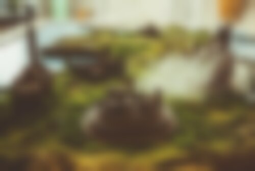 Квест Игра престолов: семь королевств