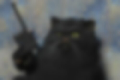 Квест С котами нельзя