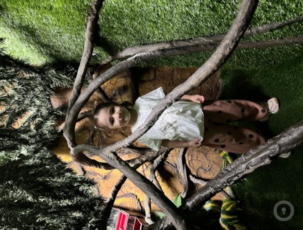 Отзыв на Алиса от Екатерина Лазутина