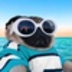 Соня Русакова