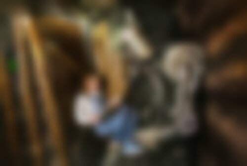 Квест Волшебник Изумрудного города