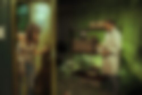 Квест S.T.A.L.K.E.R. на www.kvestinfo.ru Квест S.T.A.L.K.E.R.