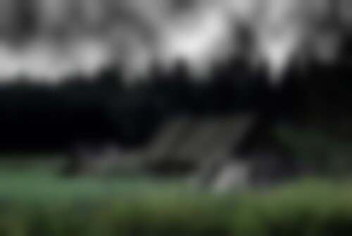 Перформанс Хижина в лесу