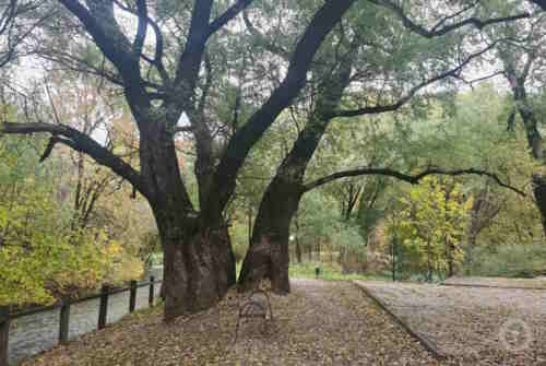 Городской квест Люди в черном: миссия - спасти мир