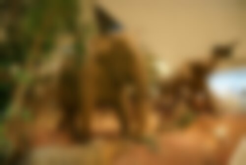 Квест Кто на свете всех сильнее