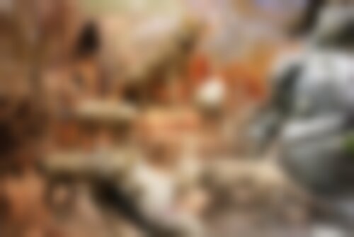 Квест Секреты Дарвиновского музея: что, где, когда?