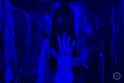 Перформанс Исчезнувшие. Последний эксперимент на www.kvestinfo.ru Перформанс Исчезнувшие. Последний эксперимент