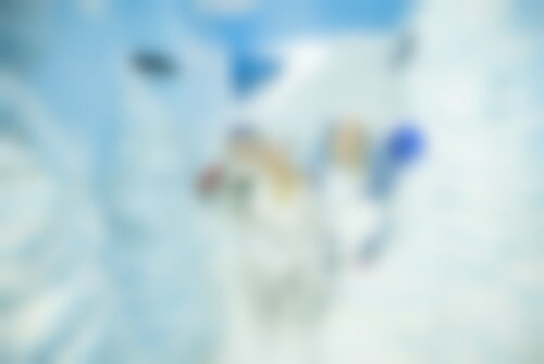 Квест Операция "Пингвины"