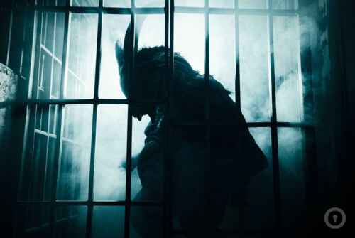 Перформанс Смотри, как они дышат