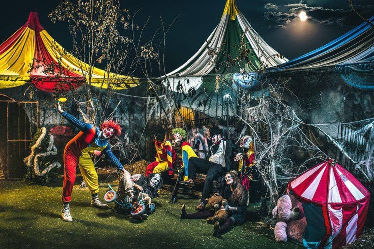 Перформанс Не тот цирк Перформанс Не тот цирк